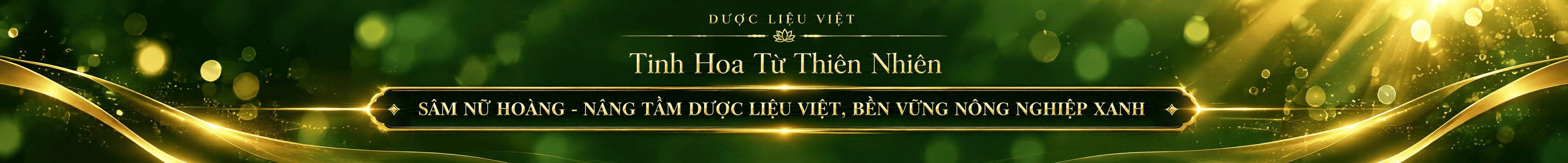 Banner sâm nữ hoàng